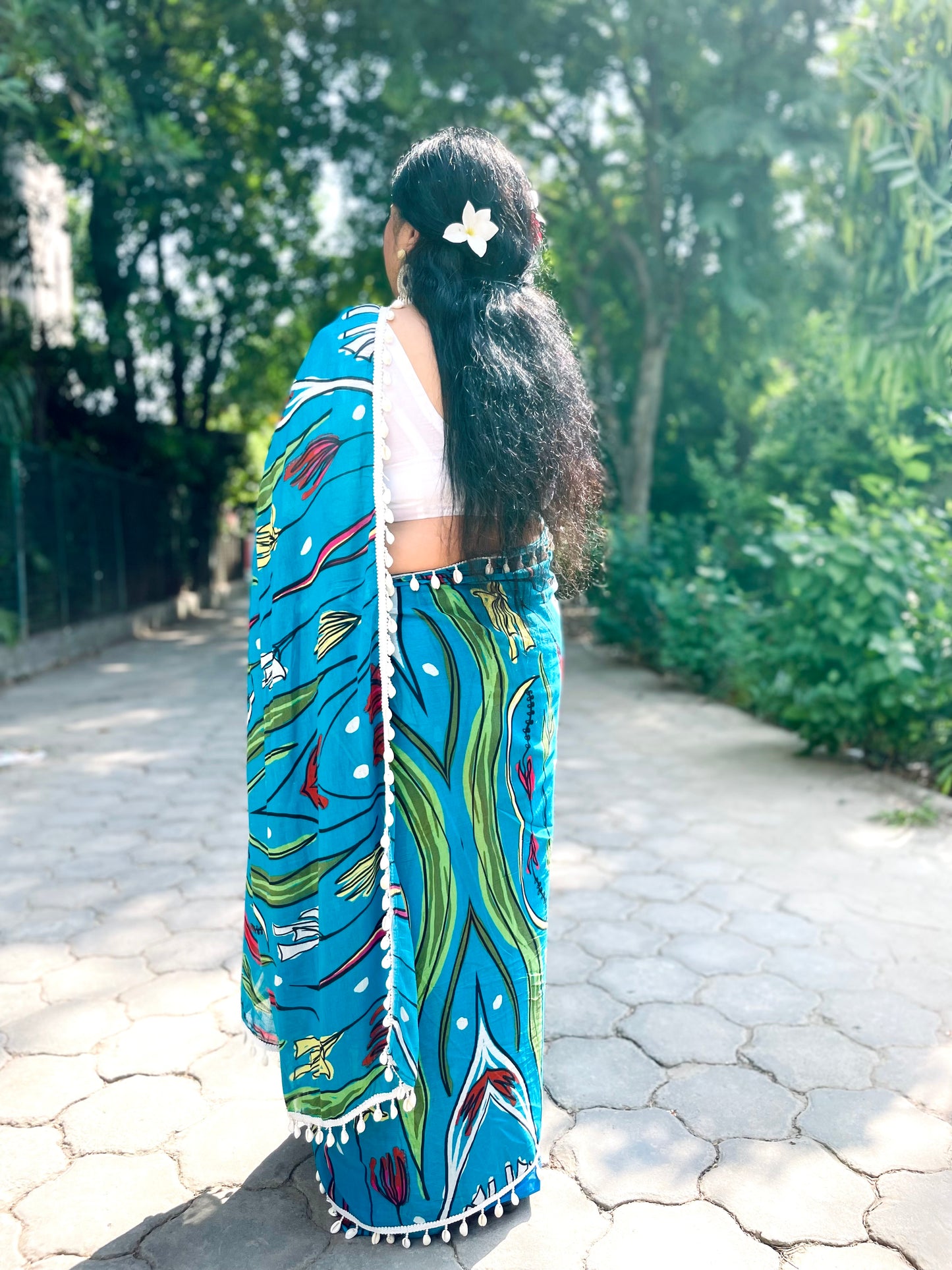 Kashmir ki Kali Saree