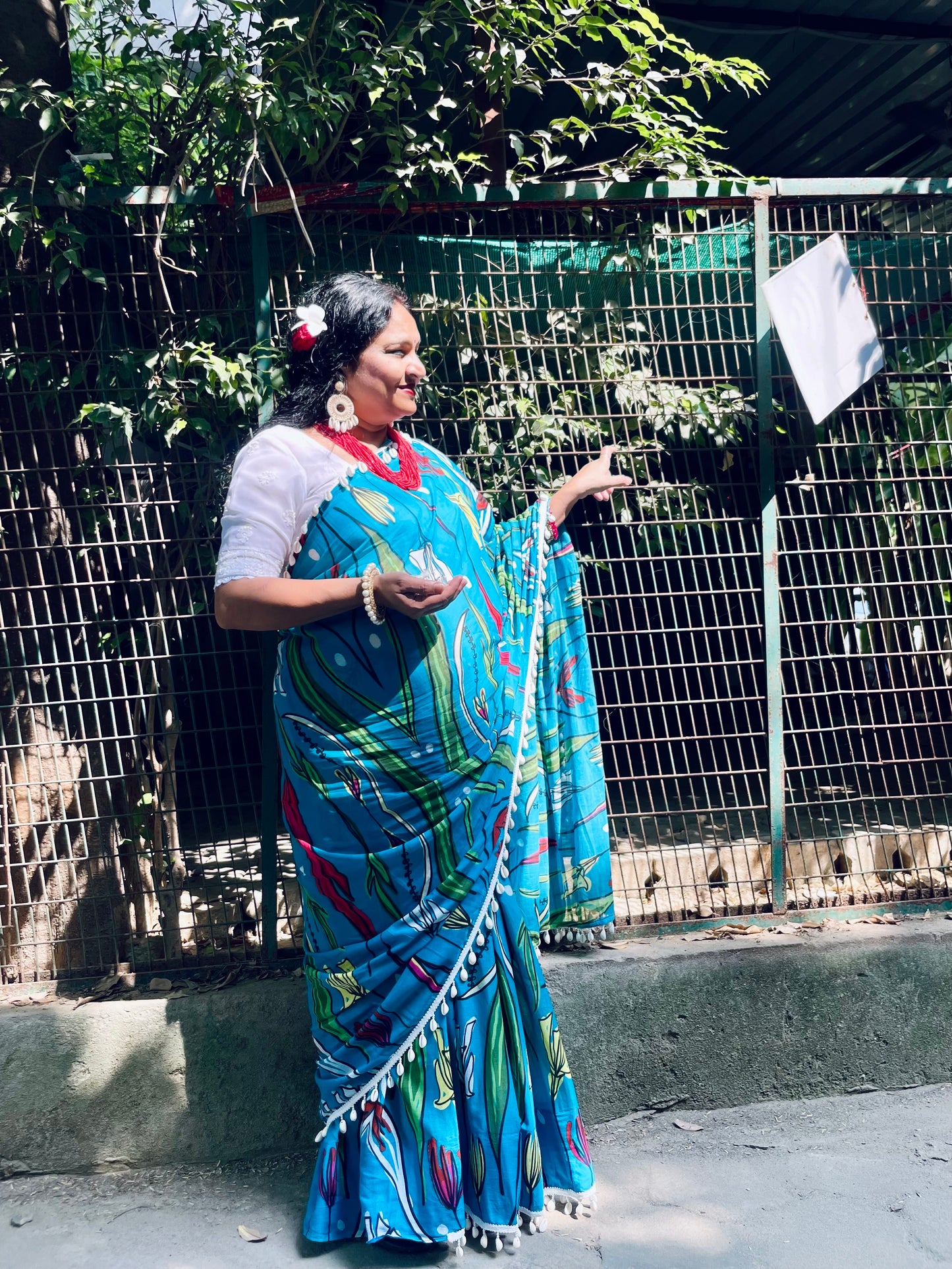 Kashmir ki Kali Saree